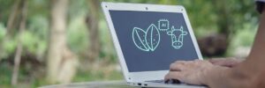 AI ile Abone Yönetimi